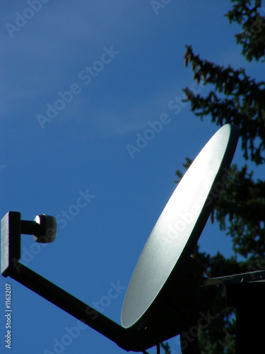 dish dish