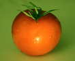 img_0296tomate
