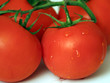 img_0292tomates