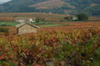 cabane de vigne 2 cabane de vigne 2