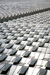 greenhouses greenhouses