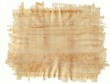 feuille de papyrus