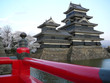 matsumoto castle during sakura