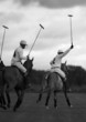 Photo : polo players. polo match in moscow, russia.