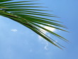 urlaubsgefühl urlaubsgefühl