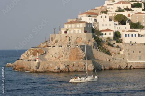 hydra