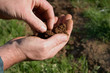 testing the soil