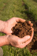 rich earth