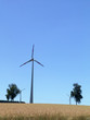 windkraftrad an einem feld