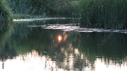 Photo: sunrise in river sunrise in river