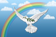 friedenstaube vor regenbogen