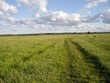 naturstrasse