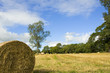 field