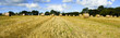 fields of dreams