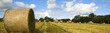 hay panarama
