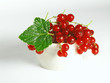 summer fruits: redcurrant summer fruits: redcurrant