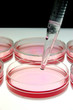 medical research