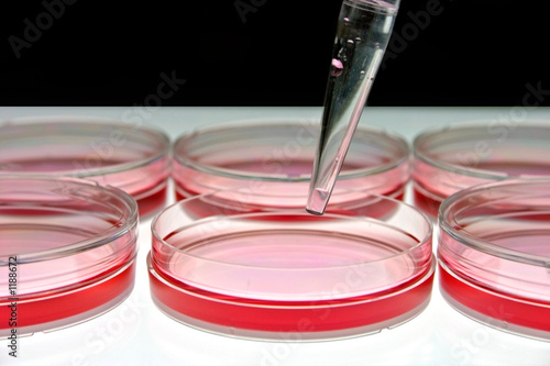 medical research