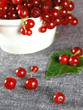 summer fruits: redcurrant summer fruits: redcurrant