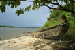 fleuve maroni