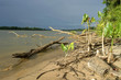 fleuve maroni