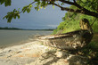 fleuve maroni