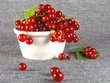 summer fruits: redcurrant summer fruits: redcurrant