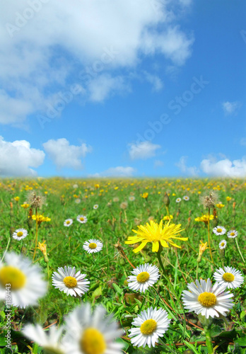 Photo: nature's glory nature's glory