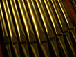 organ