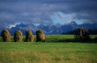 tatra