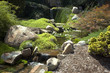 japanese garden