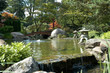 japanese water garden