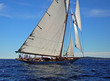 moonbeam 5