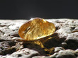shiny amber