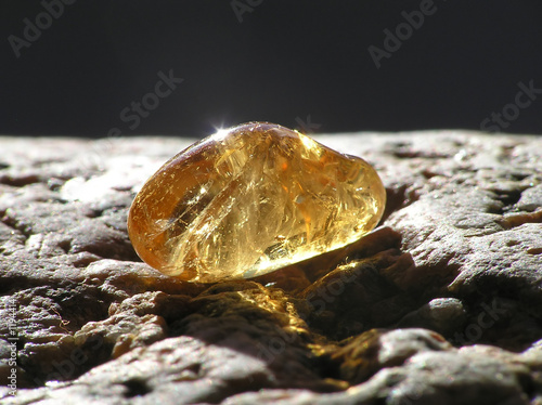 Photo: shiny amber shiny amber