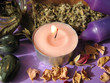 wiccan herbs