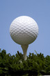golf ball on tee on grass