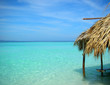 paradise island paradise island