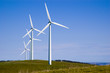 starfish hill wind turbines