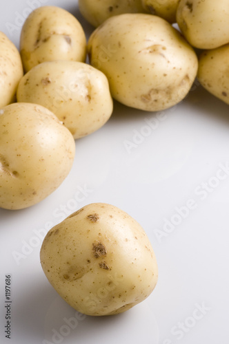 Photo: new potatoes new potatoes