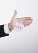 main et web
