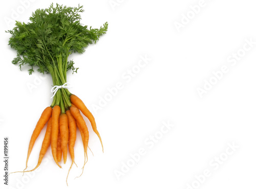 Photo: carrot bunch carrot bunch