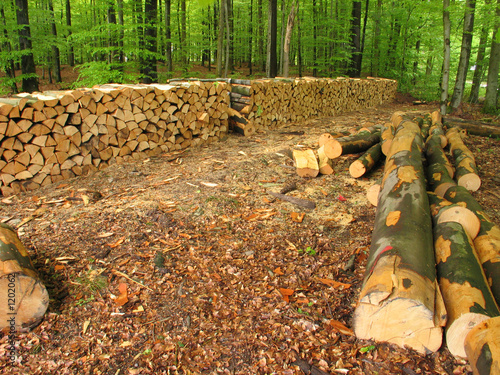 bois de chauffage