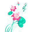 lotuses