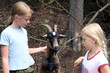 in the zoo