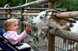 Photo: in the zoo in the zoo