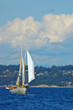 sailing