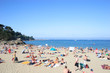 blue summer beach