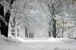 winter storm