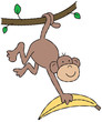 swinging monkey swinging monkey